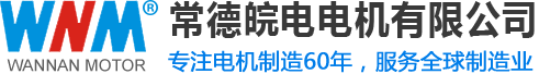 常德皖电电机有限公司